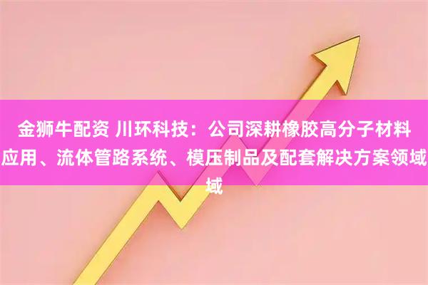 金狮牛配资 川环科技：公司深耕橡胶高分子材料应用、流体管路系统、模压制品及配套解决方案领域