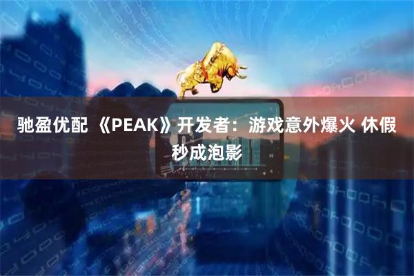 驰盈优配 《PEAK》开发者：游戏意外爆火 休假秒成泡影