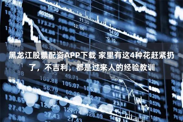 黑龙江股票配资APP下载 家里有这4种花赶紧扔了，不吉利，都是过来人的经验教训