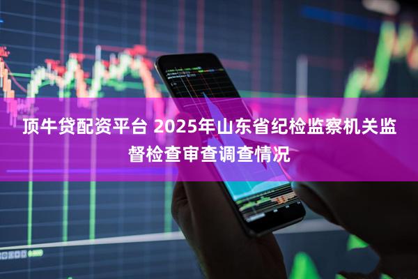 顶牛贷配资平台 2025年山东省纪检监察机关监督检查审查调查情况