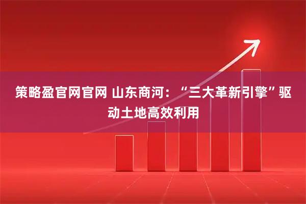 策略盈官网官网 山东商河：“三大革新引擎”驱动土地高效利用